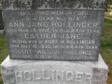 image number HollingerAJa